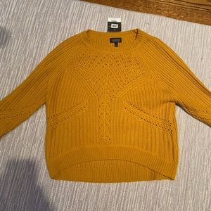 NWT Topshop sweater